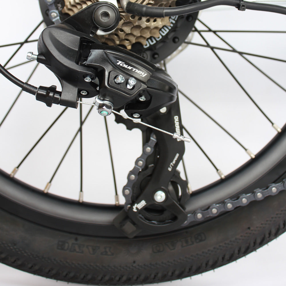 Folding Electric Tandem Bike - Rear Derailleur