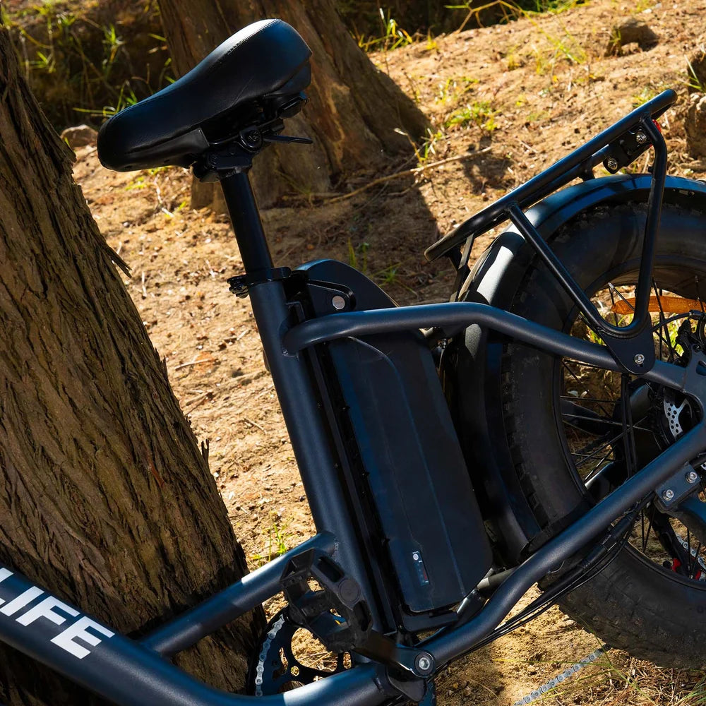 20" All-Terrain 4.0" Fat Tyre City Bike 750W,48V 15.6Ah,7 SP Front Suspension-E20 pro Display Model