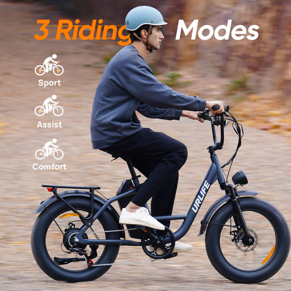 20" All-Terrain 4.0" Fat Tyre City Bike 750W,48V 15.6Ah,7 SP Front Suspension-E20 pro Display Model