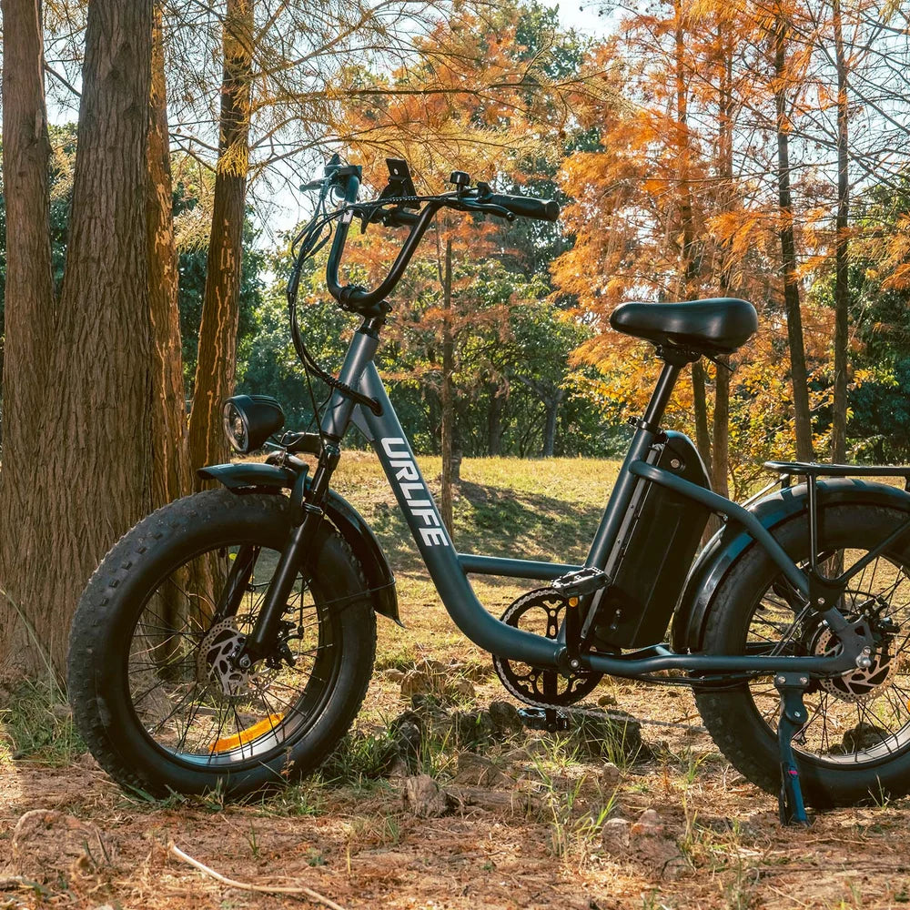 20" All-Terrain 4.0" Fat Tyre City Bike 750W,48V 15.6Ah,7 SP Front Suspension-E20 pro Display Model