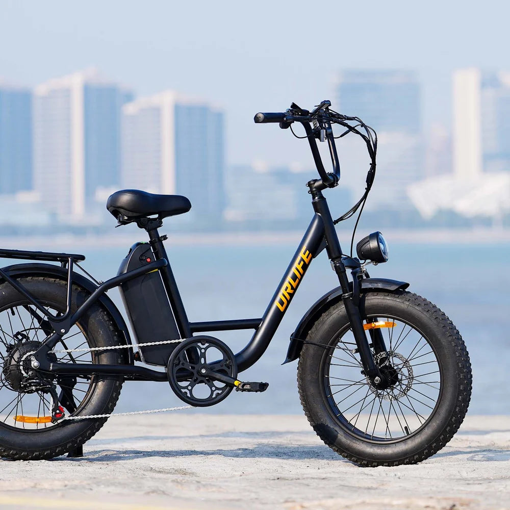20" All-Terrain 4.0" Fat Tyre City Bike 750W,48V 15.6Ah,7 SP Front Suspension-E20 pro Display Model
