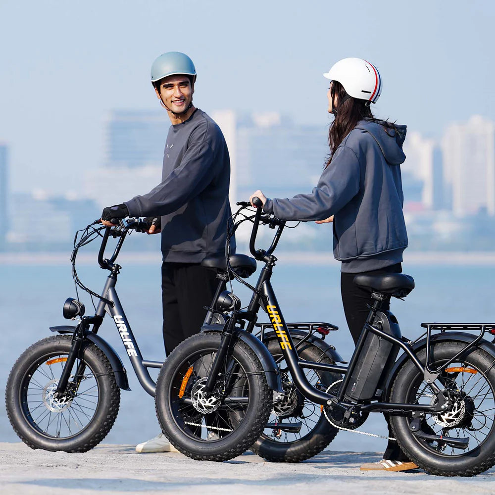 20" All-Terrain 4.0" Fat Tyre City Bike 750W,48V 15.6Ah,7 SP Front Suspension-E20 pro Display Model