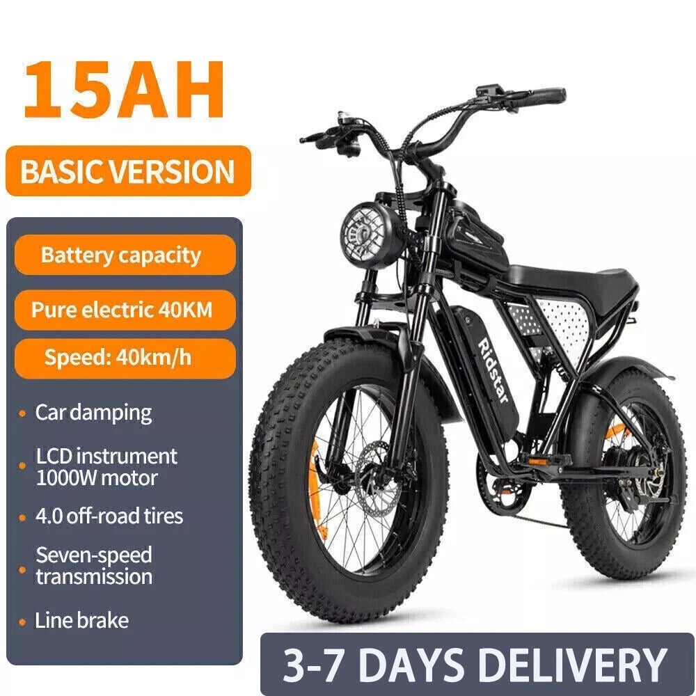 20 x 4" Fat Tyre Ebike 1000w Motor 48V 15.6Ah  Electric MTB Bike Dual Disc with Rack-Q20R