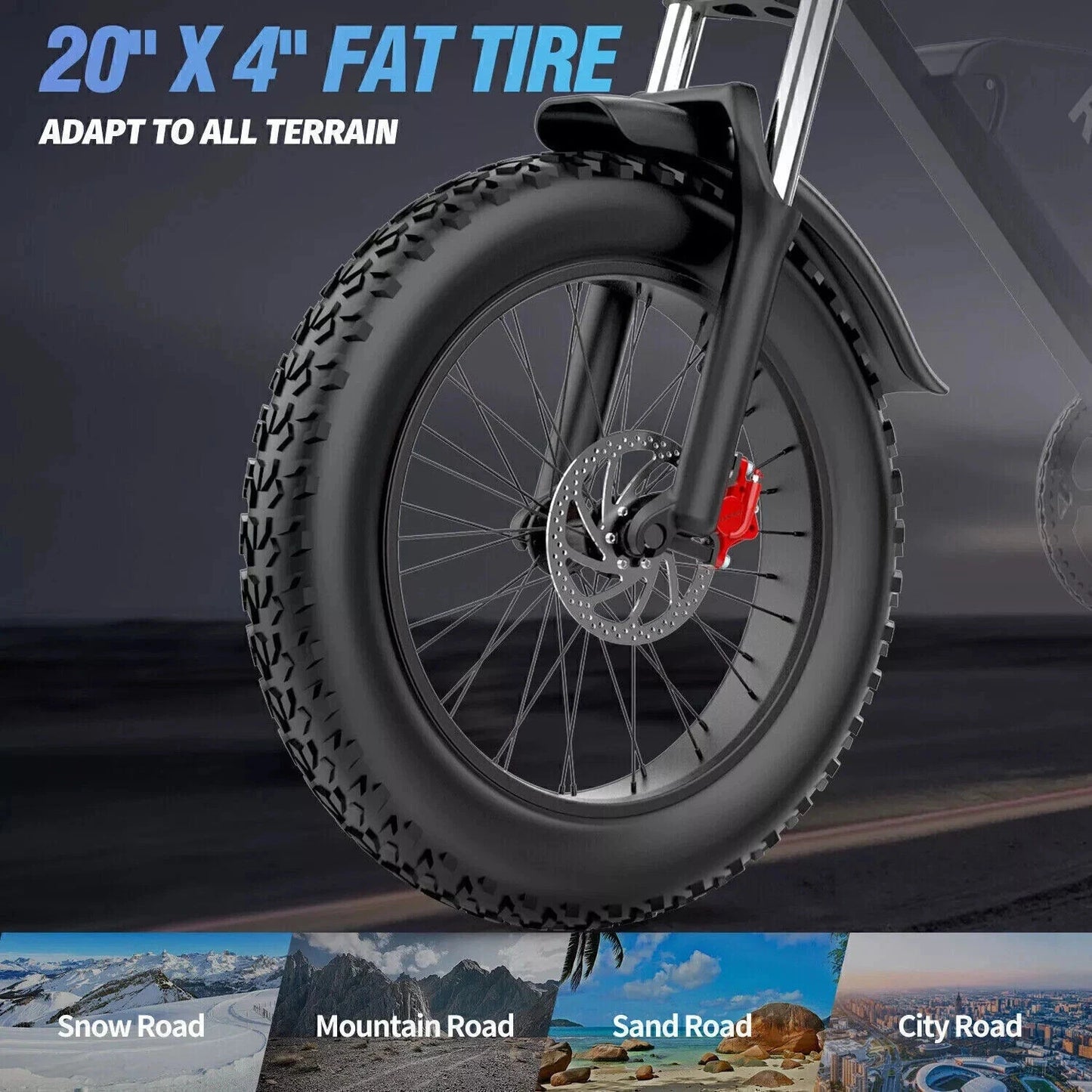 20 x 4" Fat Tyre Ebike 1000w Motor 48V 15.6Ah  Electric MTB Bike Dual Disc with Rack-Q20R