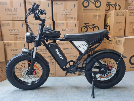 20 x 4" Fat Tyre Ebike 1000w Motor 48V 15.6Ah  Electric MTB Bike Dual Disc with Rack-Q20R