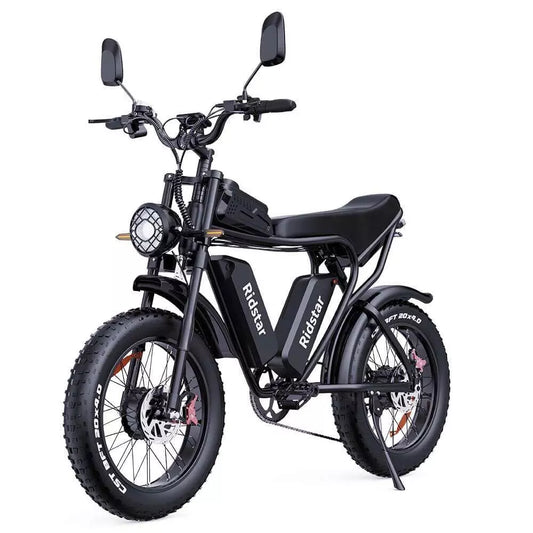 Ebike Dual Motor 2000W 52V 40AH 20'' Fat Tire Off Road Mountain MTB Electric Bike, Display model  £1000 off- Q20 Pro
