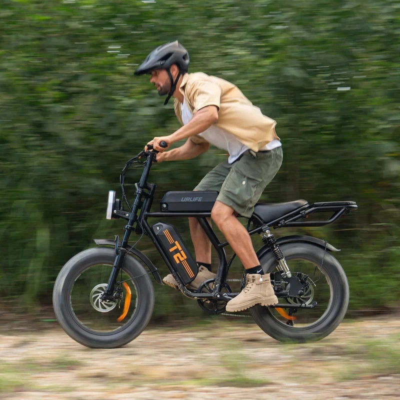 20" Off Road 4.0" Fat Tyre mountain bike 48V 15.6Ah Dual Disc-T2