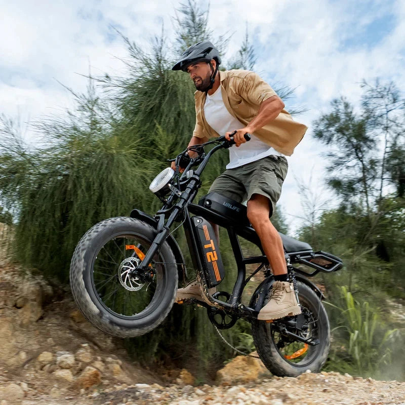 20" Off Road 4.0" Fat Tyre mountain bike 48V 15.6Ah Dual Disc-T2